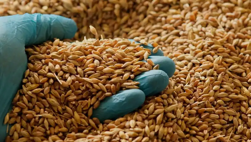 Kalp Hastalığı Riskini Azaltan Beslenme İpuçları: Uzmanından Tavsiyeler