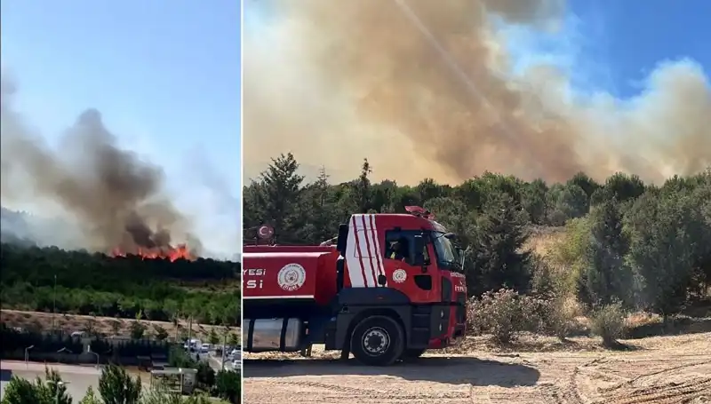 Gebze’de Orman Yangını: Doğa Katliamı ve Söndürme Çalışmaları