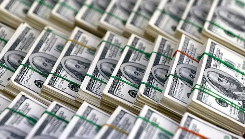 Dolar İçin Hızla Yükseliş Uyarısı: Ekonomistler Neleri Öngörüyor?