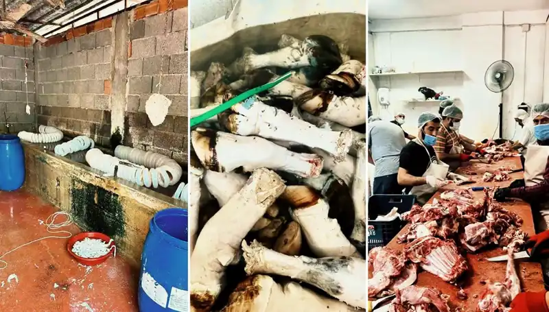 Adana’da Şok İddia: Yüzlerce Kilo Paça Çöpe Gidiyor!