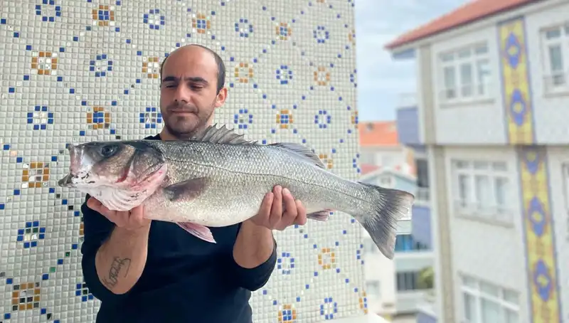 7,5 Kiloluk Dev Levrek Avı: Balıkçıların Hayalini Gerçekleştiren An