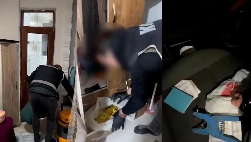 Hayvan Sevk Belgesi Usulsüzlüğü Operasyonunda Dokuz Gözaltı Gerçekleşti