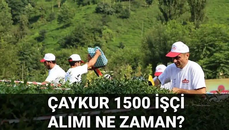 Çaykur İşçi Alımı Başvuru Tarihleri Belli Oldu! Detaylar Burada