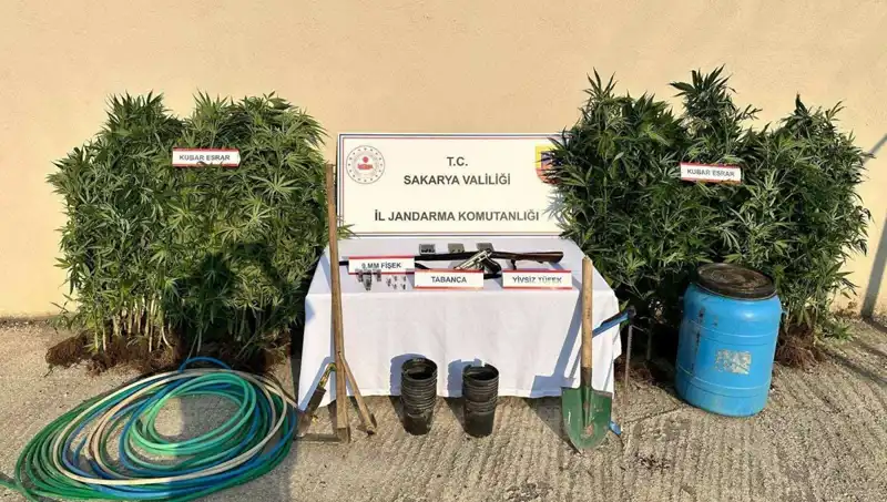 Sakarya’da Uyuşturucu Operasyonu: Polisten Şok Baskın ve Bir Tutuklama