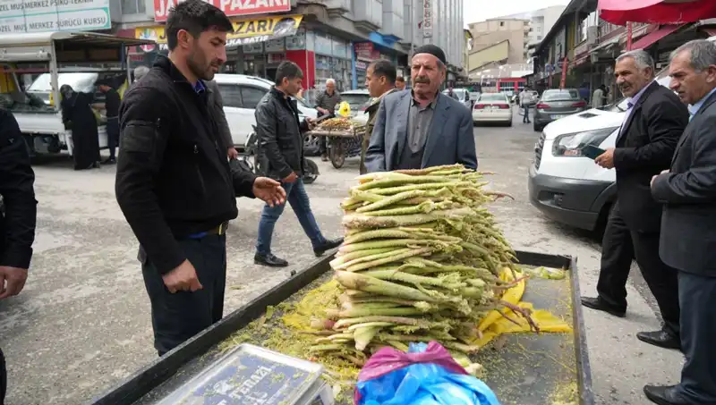 Dağlık Alanların Şeker ve Kanser Üzerindeki Etkisi: Doğanın Kucağında Sağlık