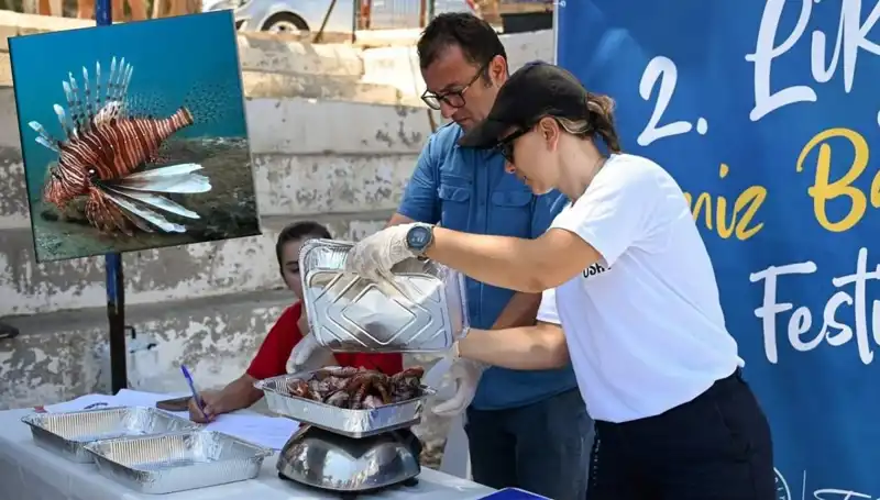 Antalya’da İstilacı Aslan Balığı Avlama Yarışması: Denizlerin Korunmasına Katkı