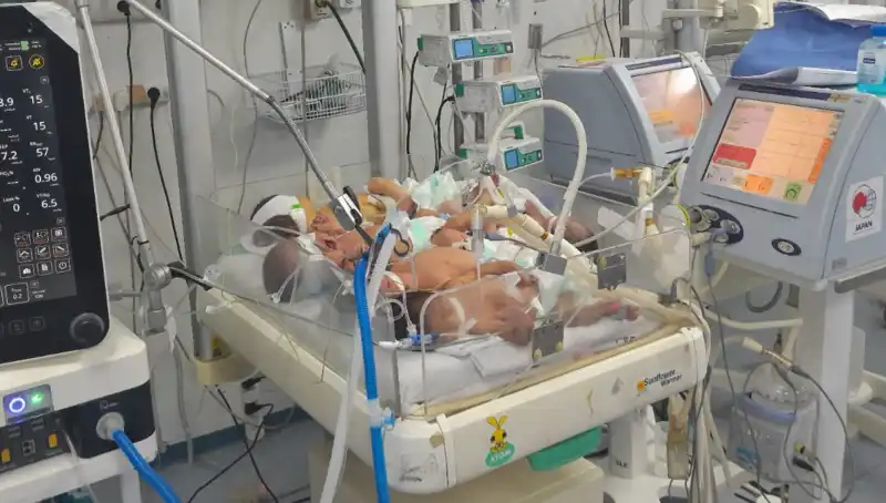 Gazze'deki Doktorların Çağrısı: "Birden Fazla Bebek Tek Kuvözde Büyüyor"