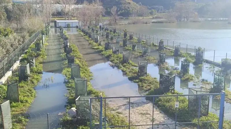 Irmak Taştı, Otoyol Şantiyesi Su Altında Kaldı: Kriz Büyüyor