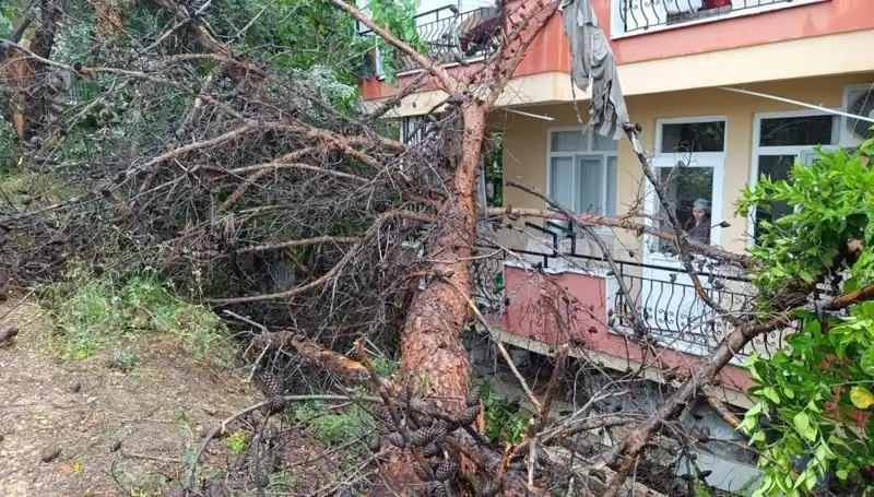 Gökyüzü Bütün Gücünü Gösterdi: Bina Üzerine Devrilen Ağaçlar
