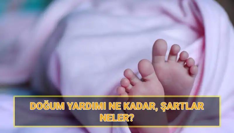 2025 Yılında 5 Bin Lira Doğum Yardımı Başvurusu: Çocuk Parası ve Şartları