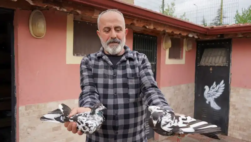 42 Yıllık Tutku: Hobisi Profesyonel Tesise Dönüştü ve İl Dışından Talep Yağmuru!